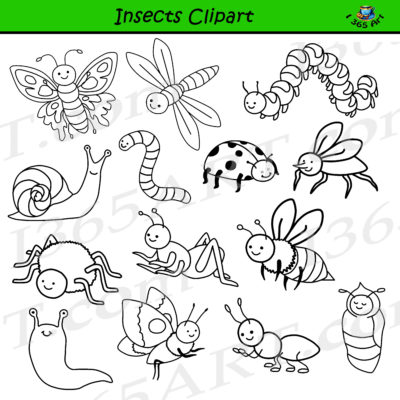 Insect Clipart Set - Commercial-Use Graphics - Clipart 4 School