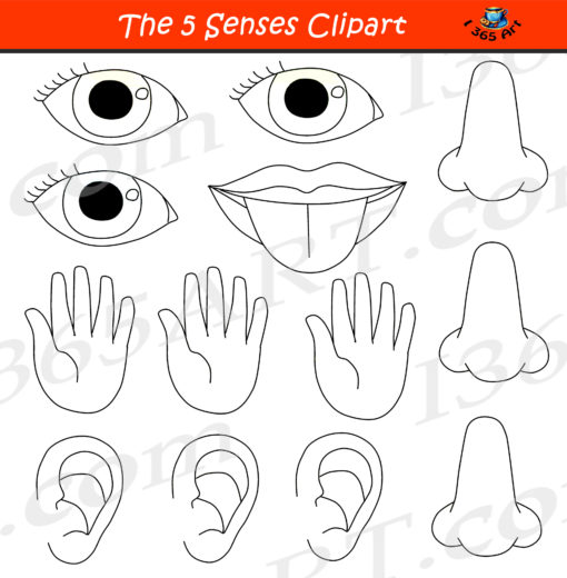 5 Senses Clipart Black & White