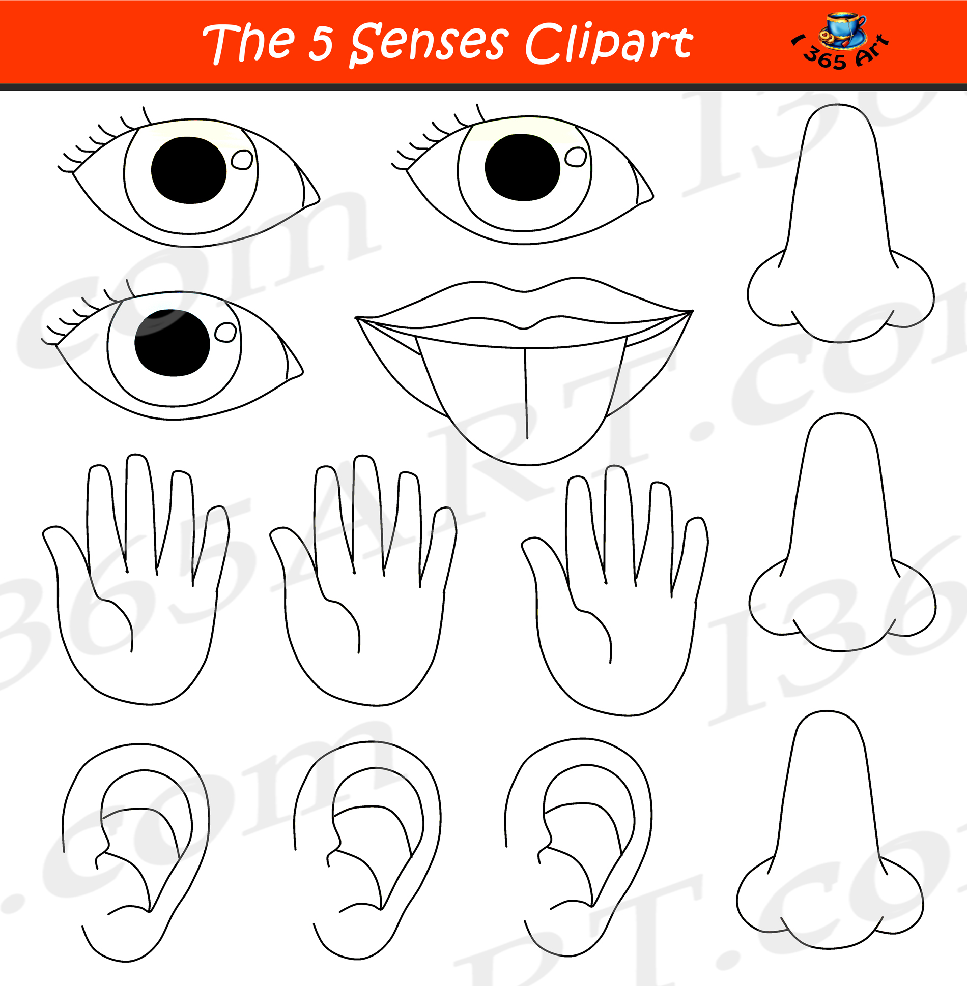5 Senses Clipart Bundle Graphic Set Educational Images | Clipart 4 School