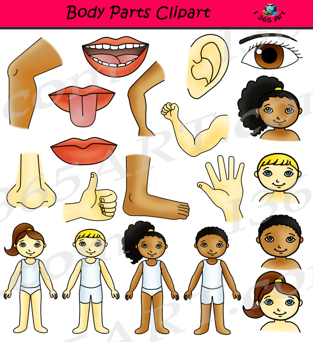 Body Parts Clipart Human Anatomy Set - Clipart 4 School