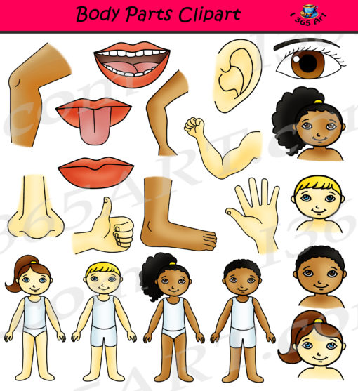 Body Parts Clipart
