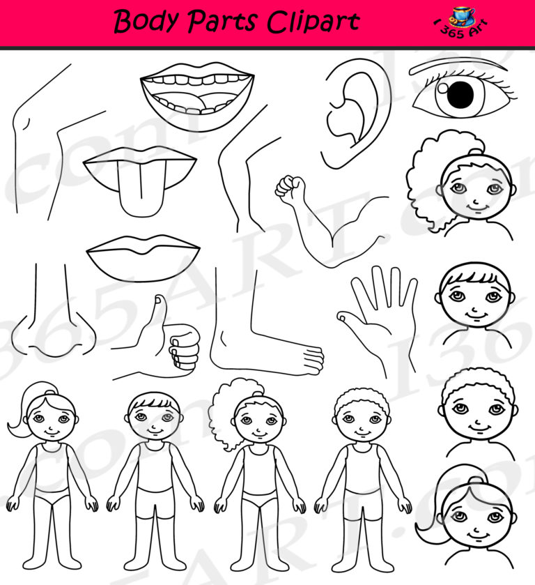 Body Parts Clipart Human Anatomy Set Clipart 4 School