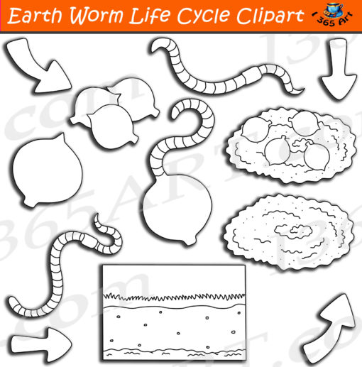 earthworm life cycle clipart black and white