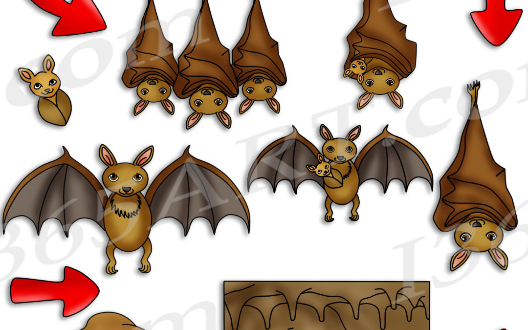 Bat Life Cycle Clipart Bundle