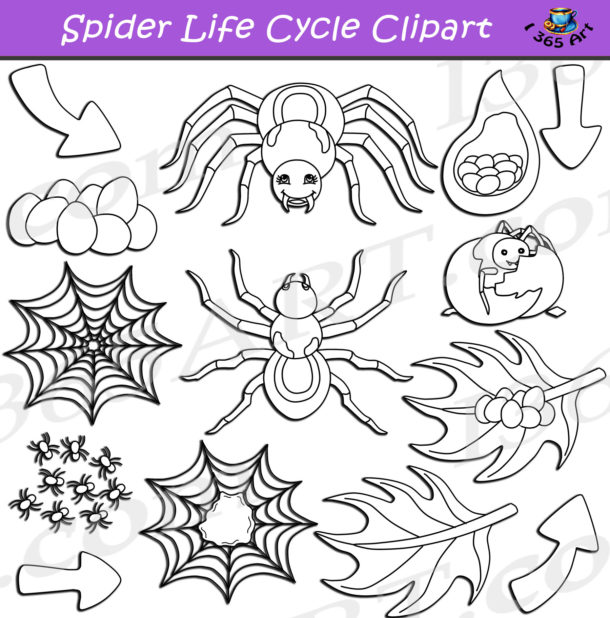 spider 4 bundle files spider 4 bundle files
