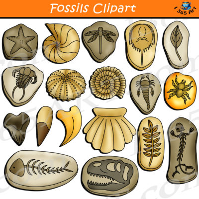 fossils clipart