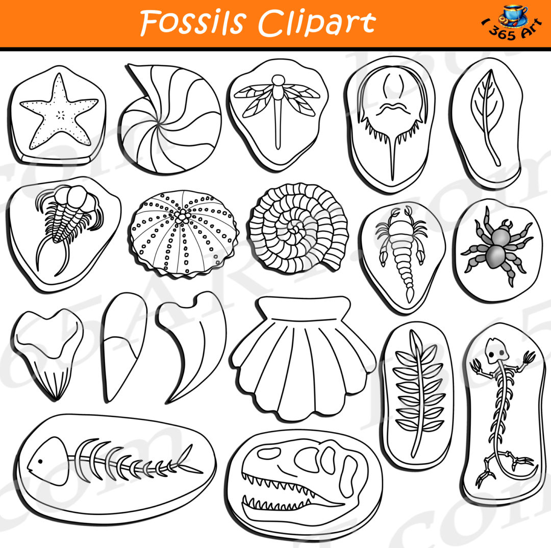 Fossils Clipart Download Earth Science Clipart 4 School