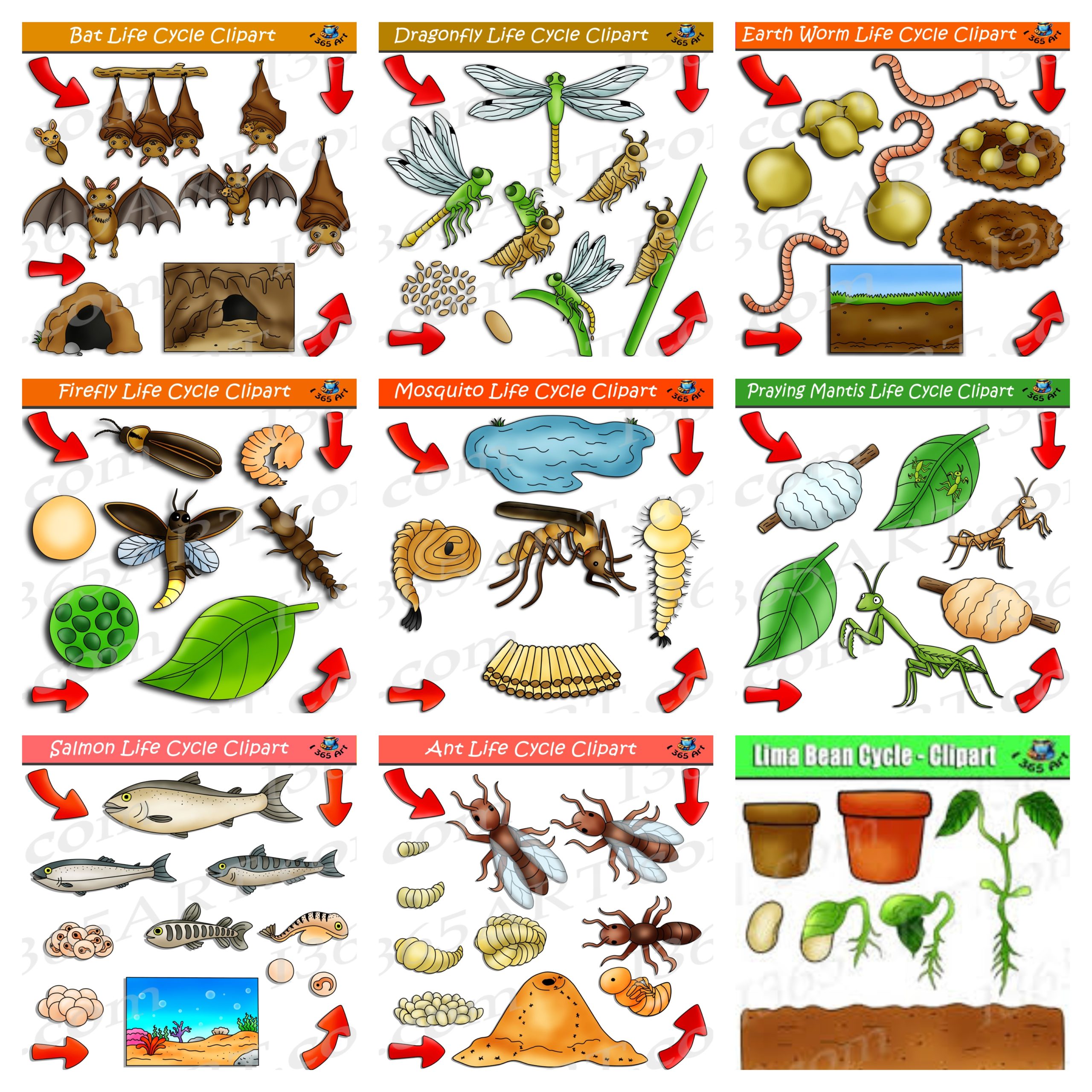 Nature Life Cycle Clipart #1 - Get 18 Sets in all! -