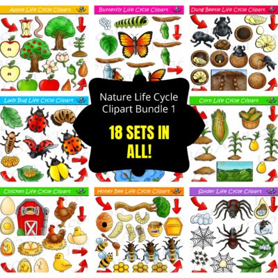 nature life cylcle clipart