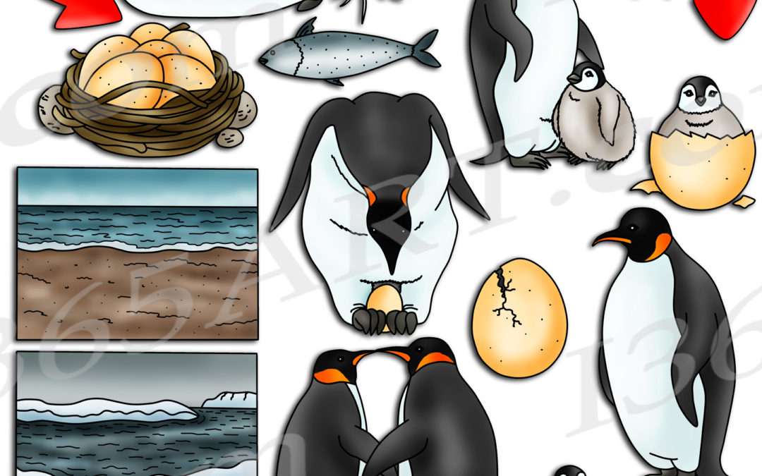 Penguin Life Cycle Clipart Graphics Set