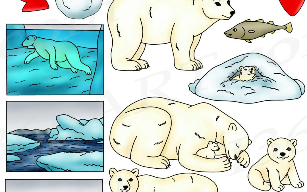 Polar Bear Life Cycle Clipart Graphics Set