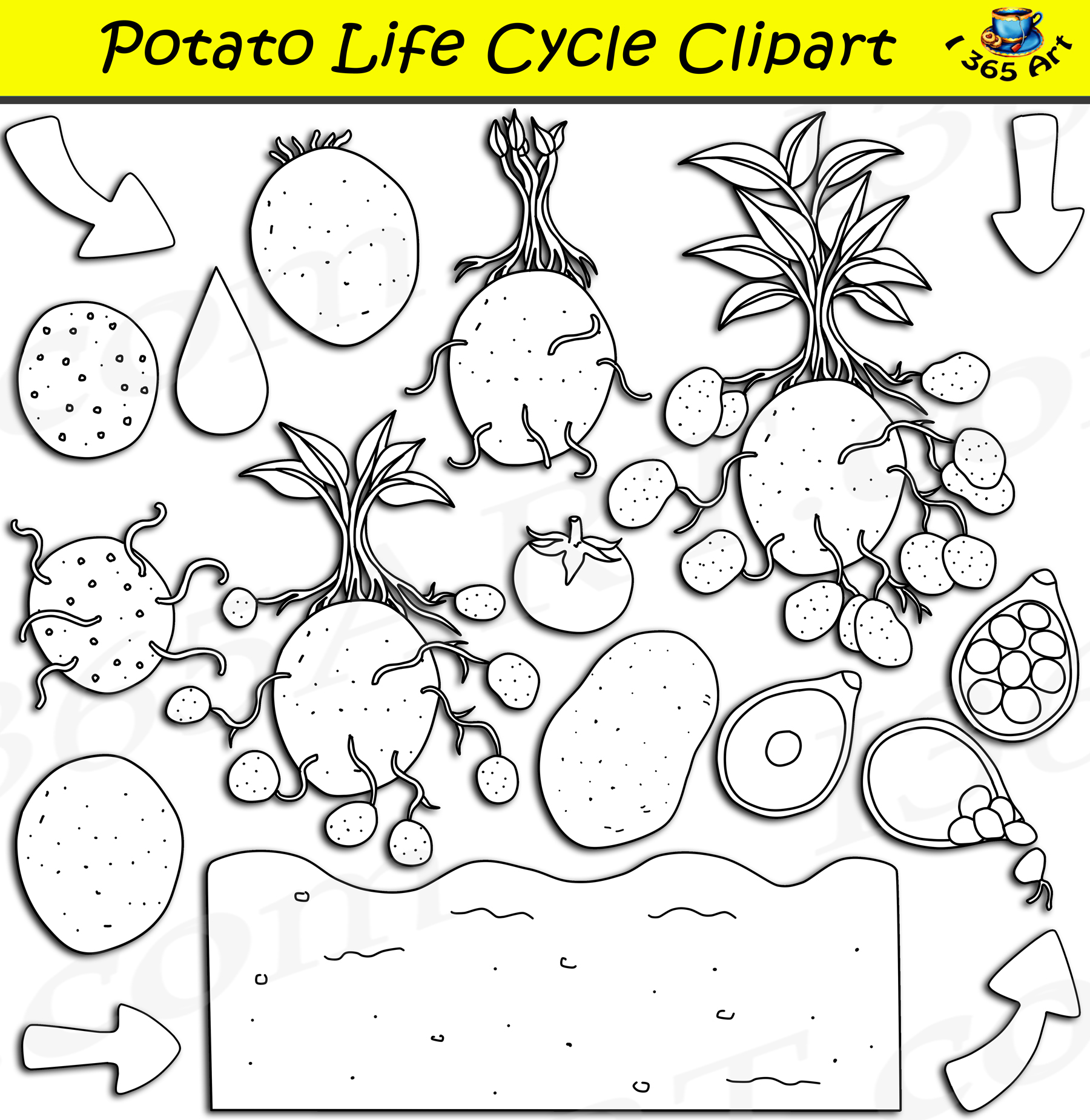 potato clip art black and white