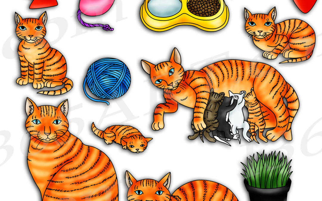 Cat Life Cycle Clipart Set Download