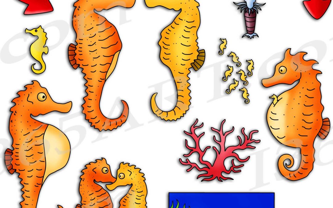 Seahorse Life Cycle Clipart Set Download