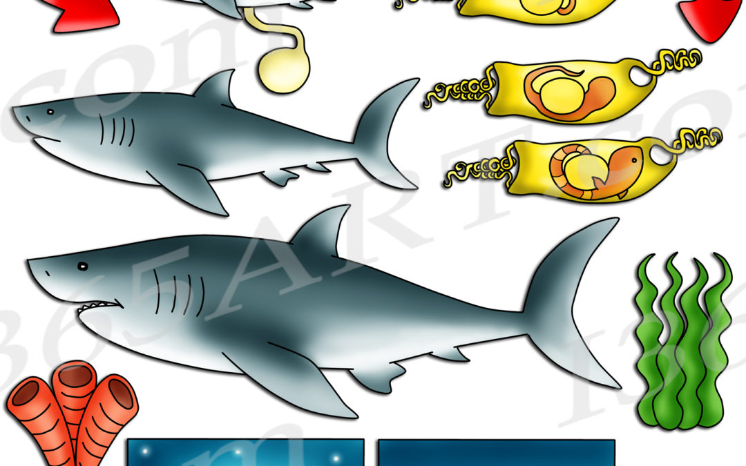 Shark Life Cycle Clipart Set Download
