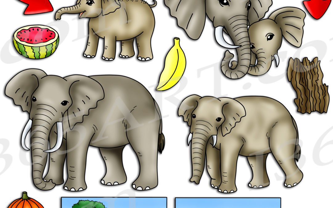 Elephant Life Cycle Clipart Set Download