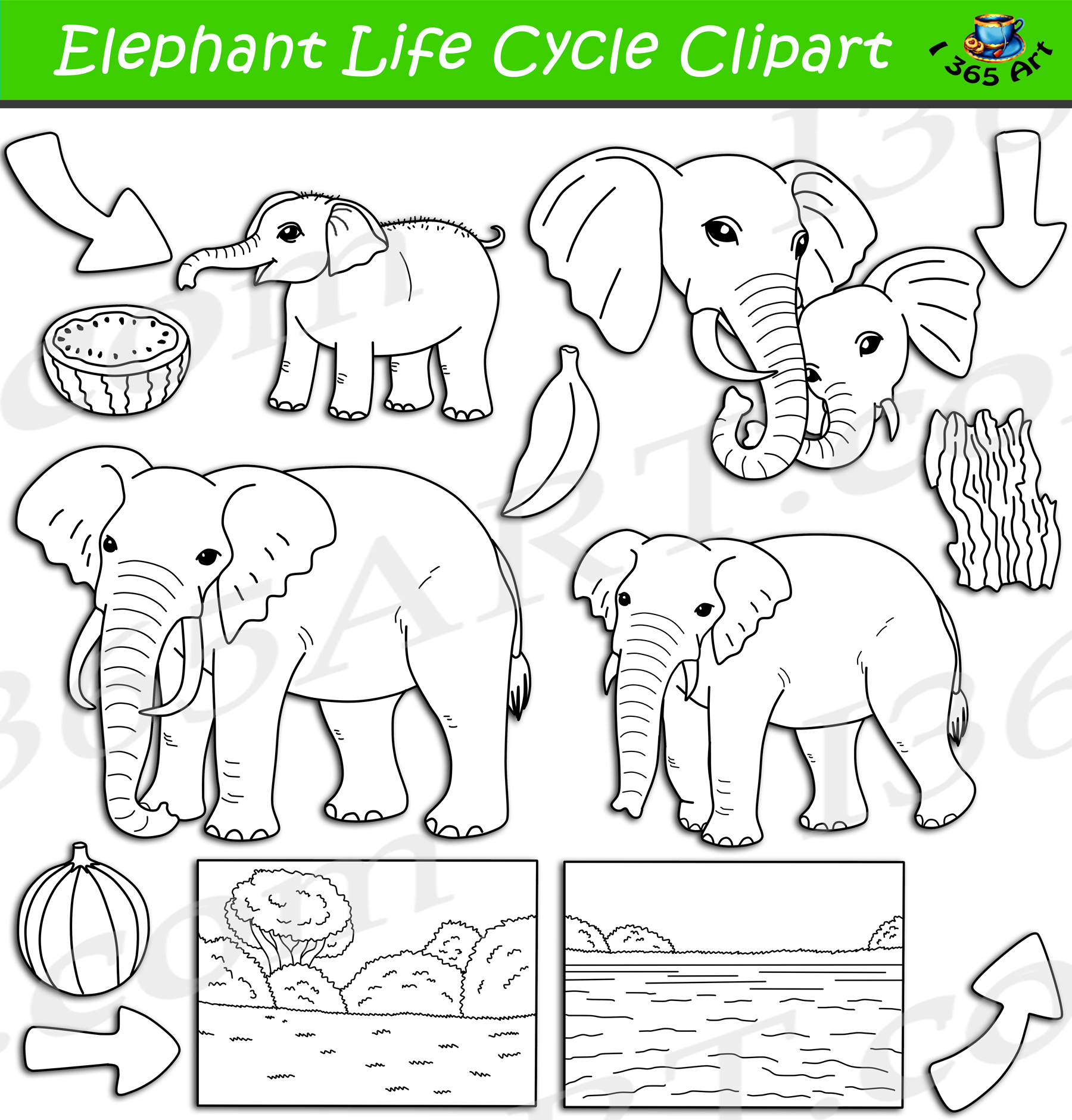 elephant reproduction cycle