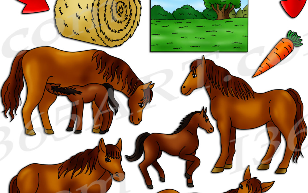 Horse Life Cycle Clipart Set Download