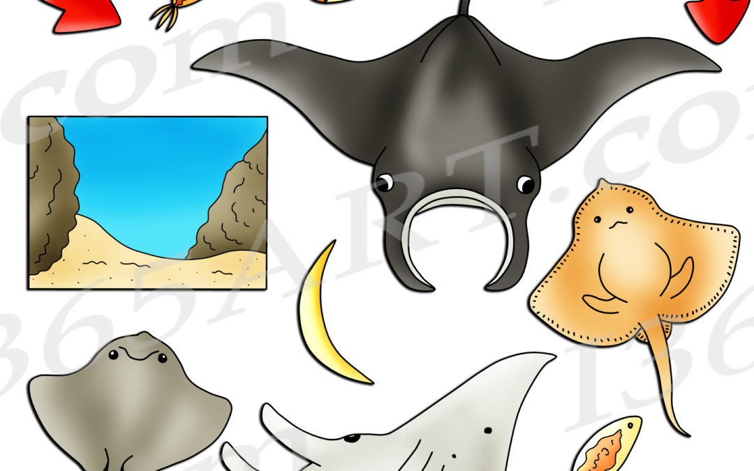 Manta Ray Life Cycle Clipart Set Download