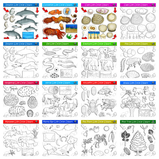 nature life cycle clipart pack