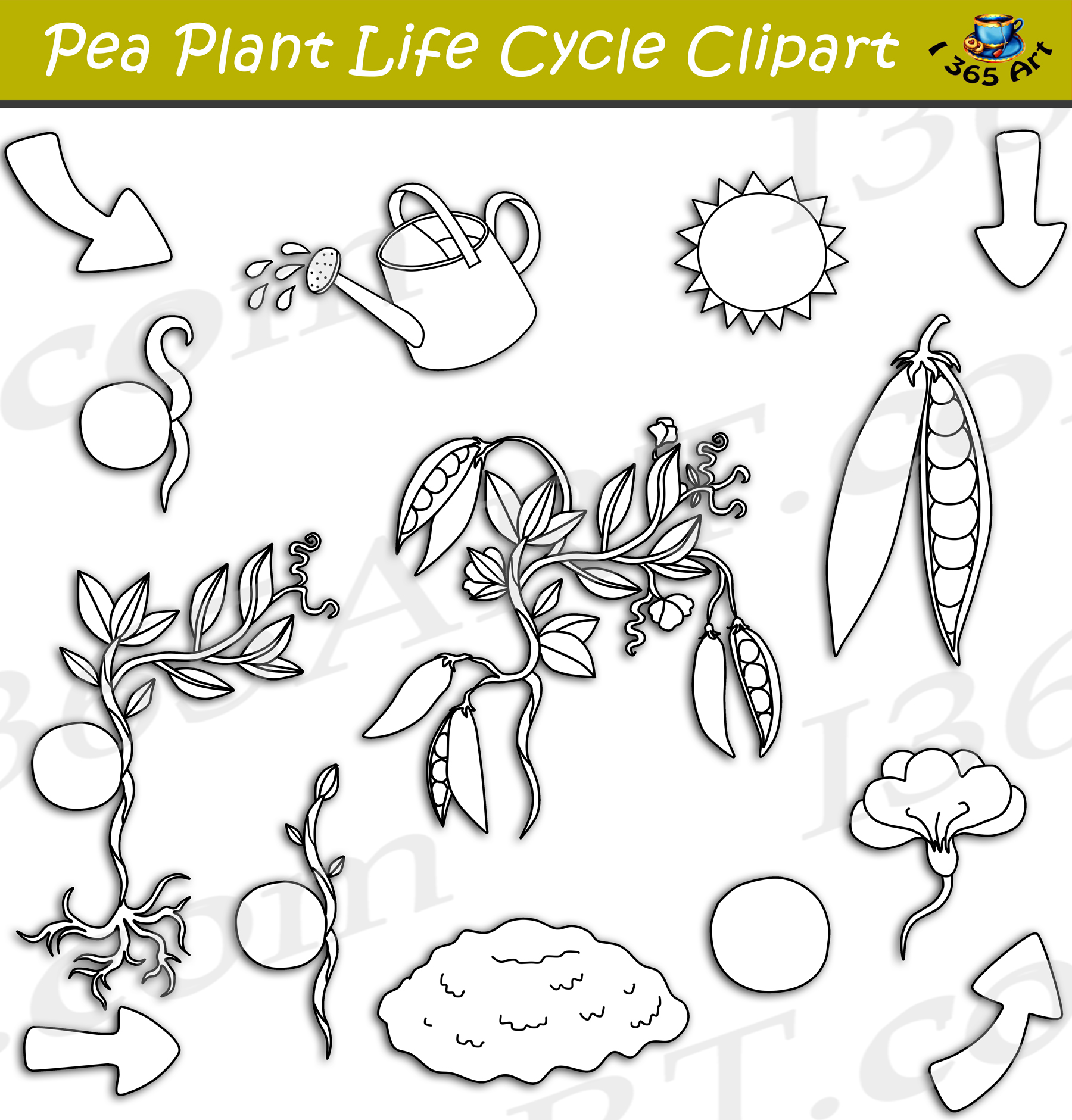 Pika Life Cycle Clipart Set Download - Clipart 4 School