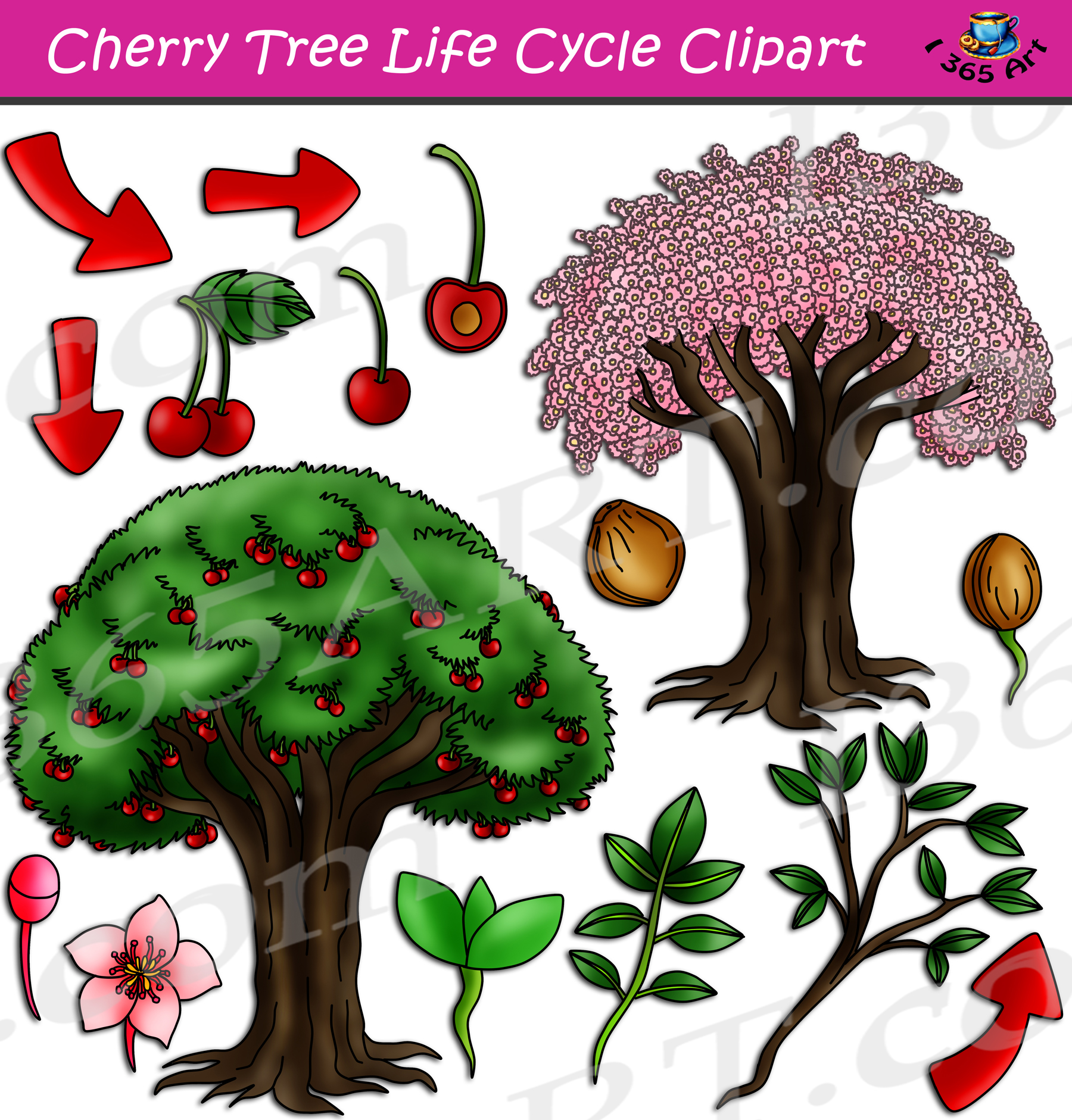 one cherry clip art