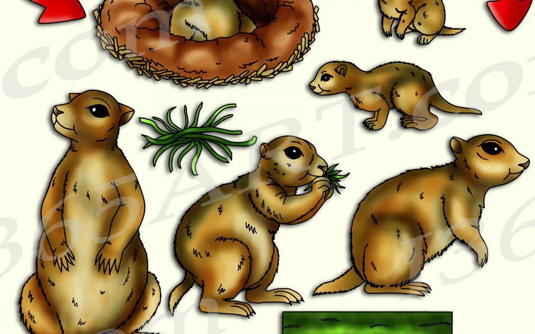 Prairie Dog Life Cycle Clipart Set Download