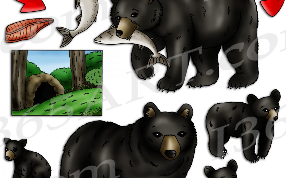 Black Bear Life Cycle Clipart Set Download