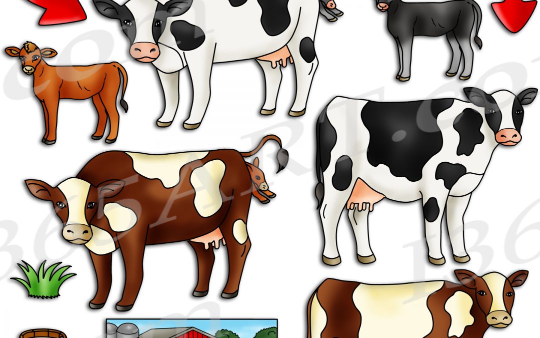 Cow Life Cycle Clipart Set Download