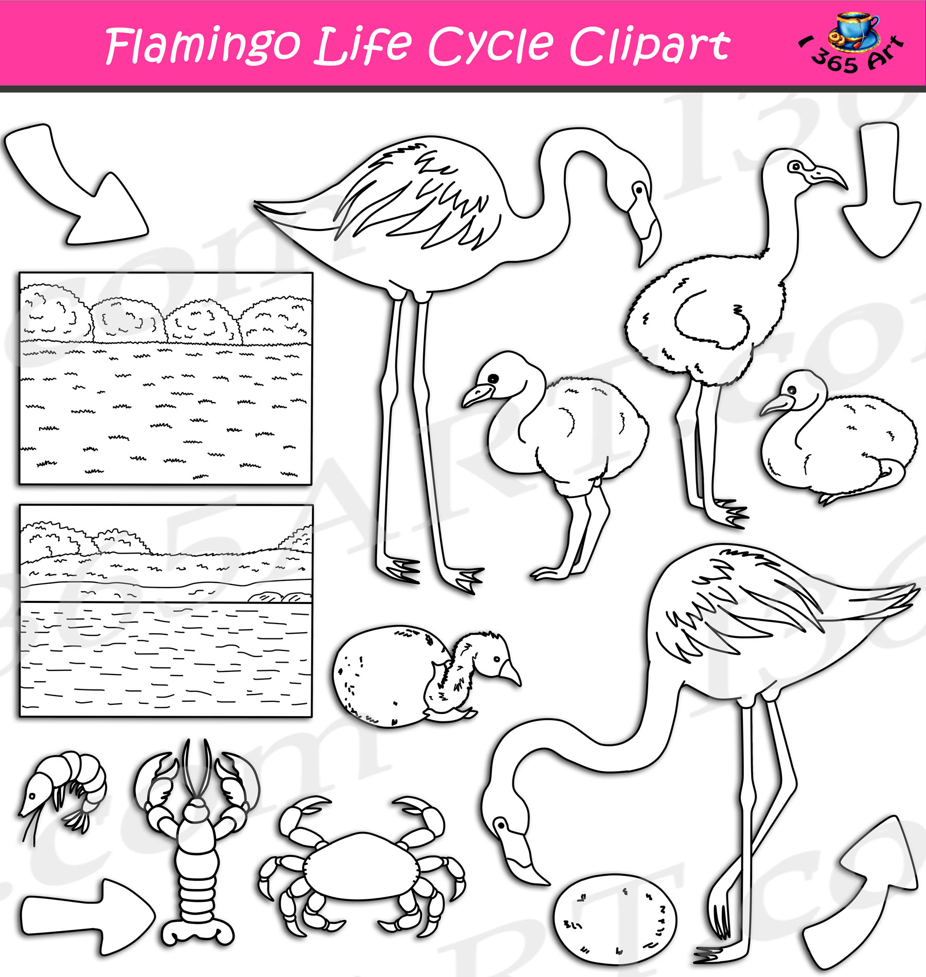 flamingo clip art black and white