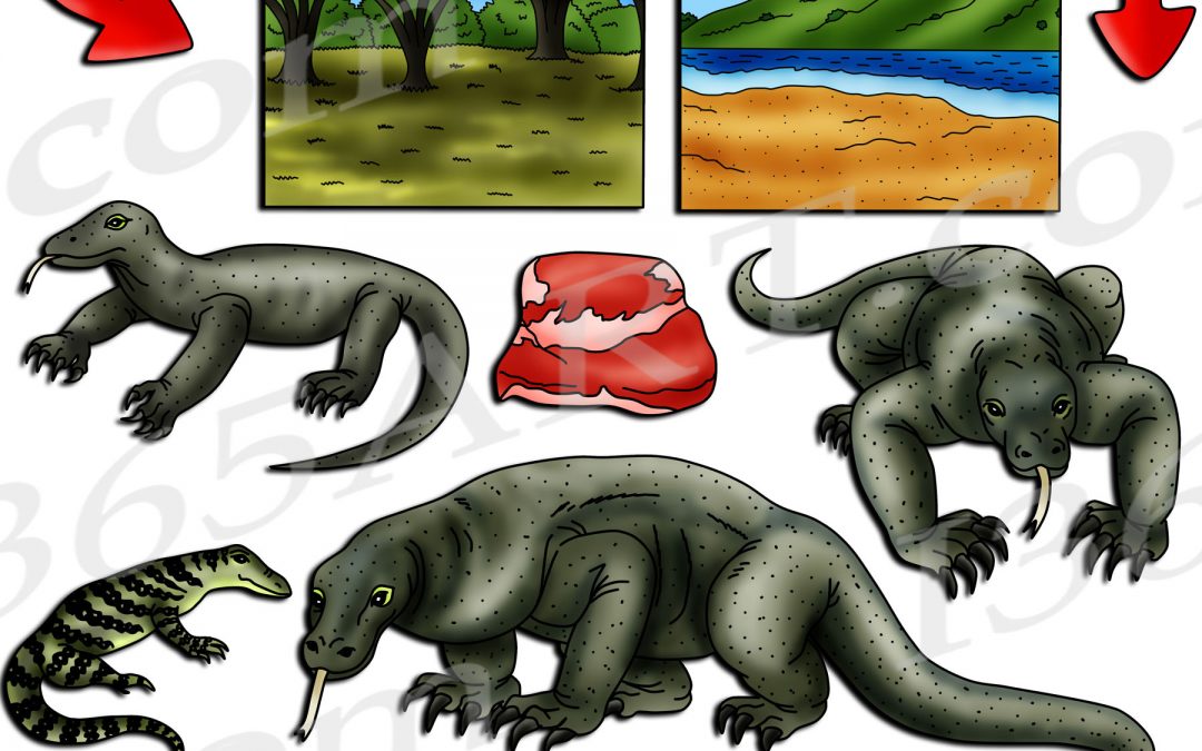 Komodo Dragon Life Cycle Clipart Set Download
