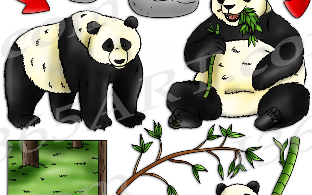 Panda Life Cycle Clipart Set Download