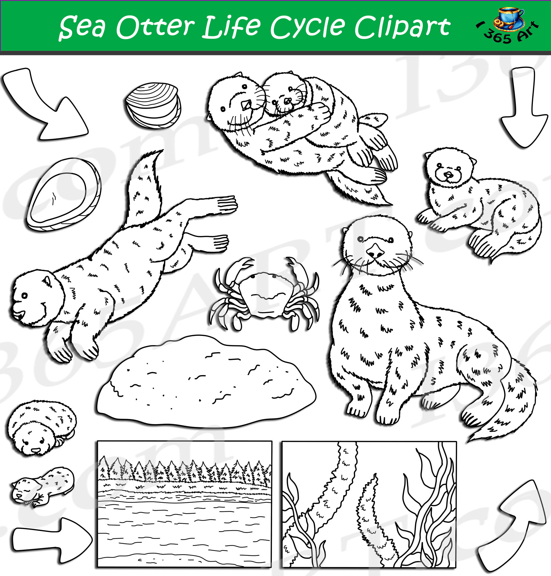 Sea Otter Life Cycle Clipart Set Download Clipart 4 School Sea | Porn ...