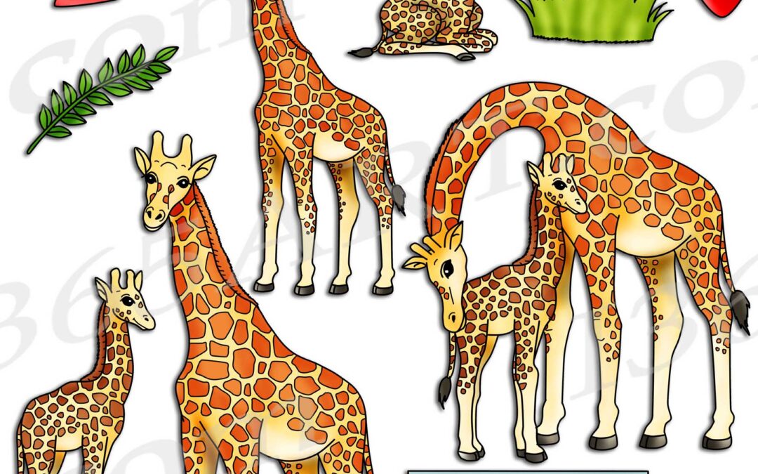 Giraffe Life Cycle Clipart Set Download