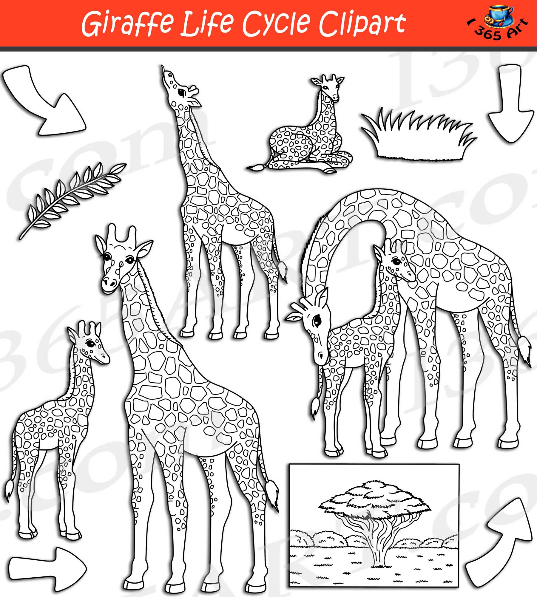 Giraffe Life Cycle Clipart Set Download - Clipart 4 School