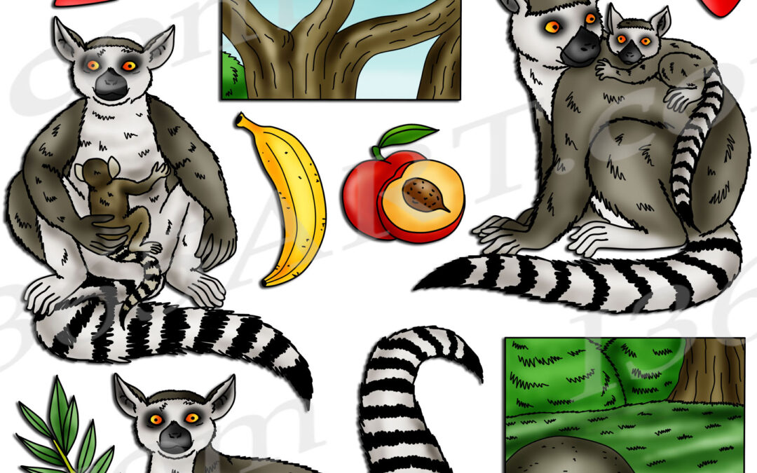 Lemur Life Cycle Clipart Set Download