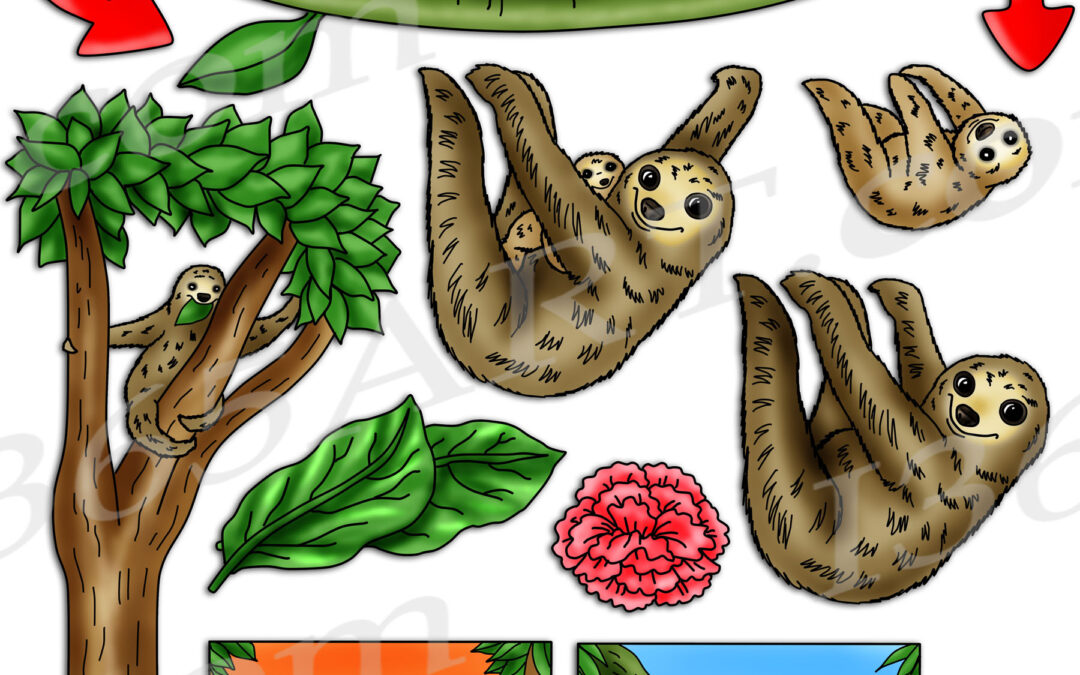 Sloth Life Cycle Clipart Download
