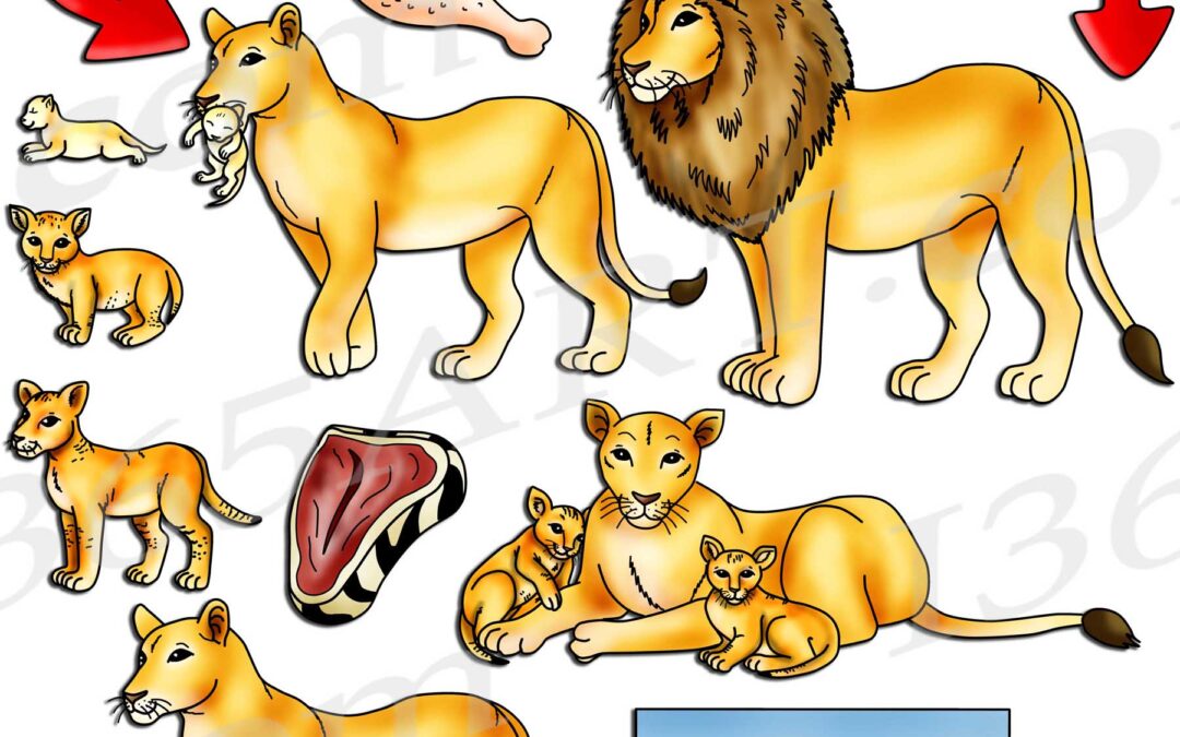 Lion Life Cycle Clipart Set Download