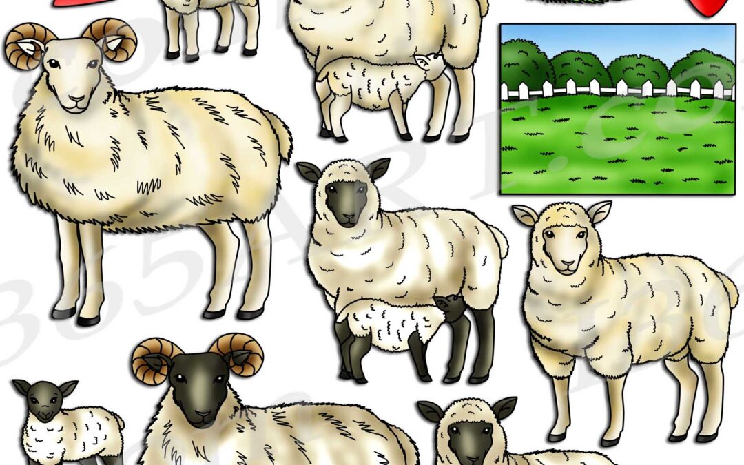 Sheep Life Cycle Clipart Set Download