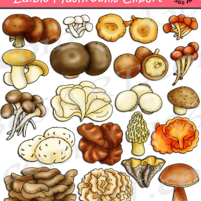 Edible Mushrooms Clipart