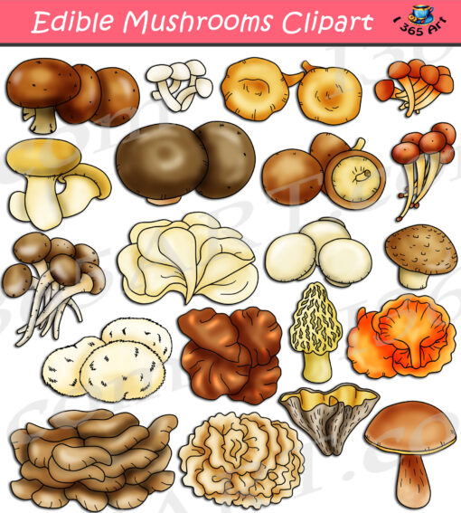 Edible Mushrooms Clipart