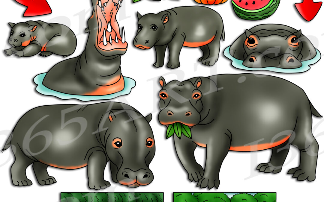 Hippo Life Cycle Clipart Set Download
