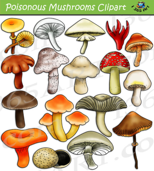Poisonous Deadly Mushrooms Clipart