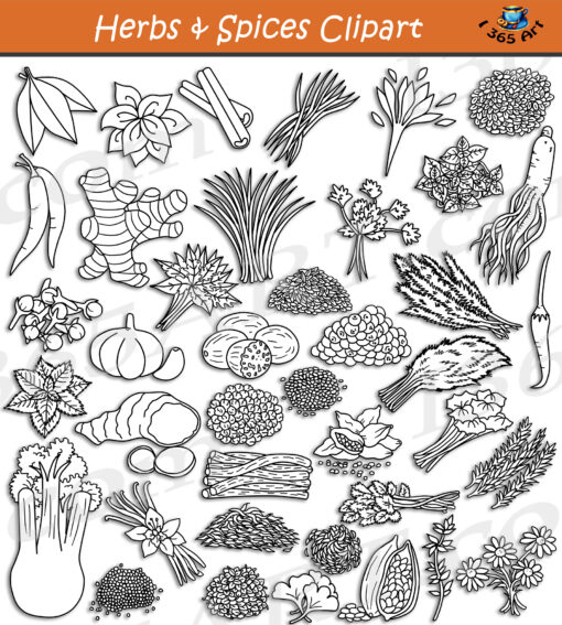 Herbs and Spices Clipart