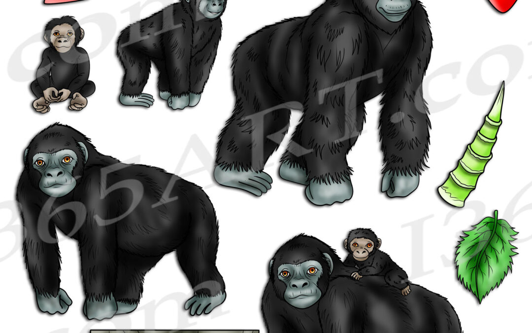 Gorilla Life Cycle Clipart Set Download