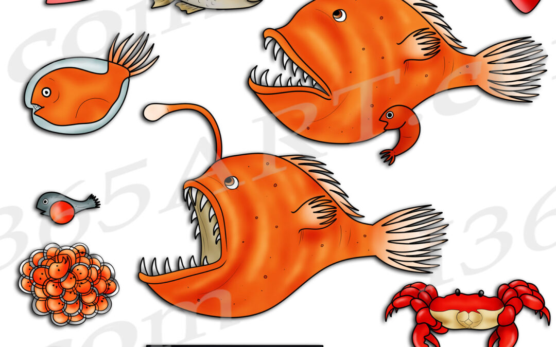 Anglerfish Life Cycle Clipart Set Download