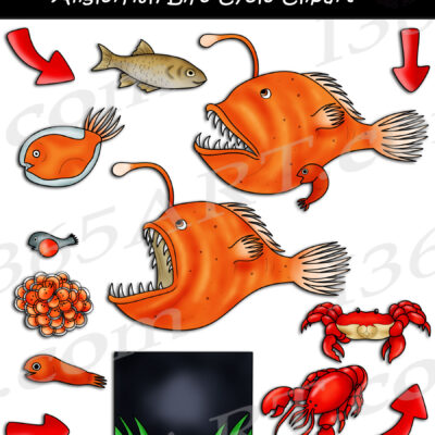 Anglerfish Life Cycle Clipart