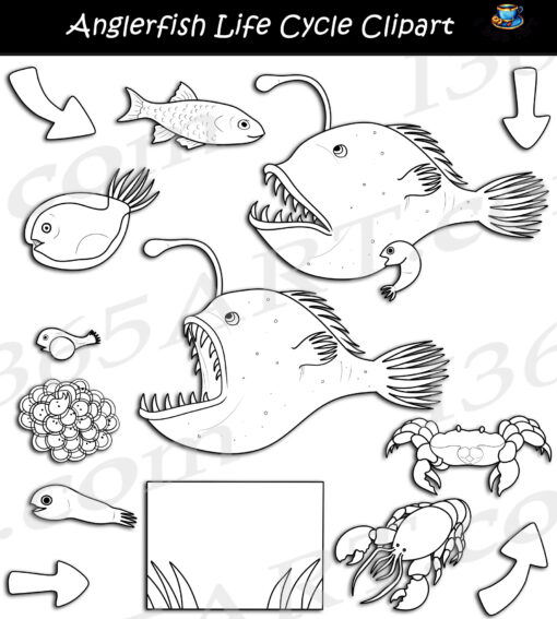 Anglerfish Life Cycle Clipart