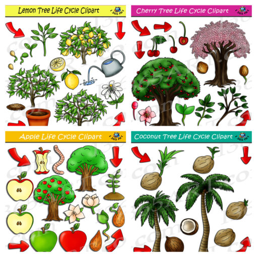 Fruit Tree Life Cycle Clipart Bundle #1