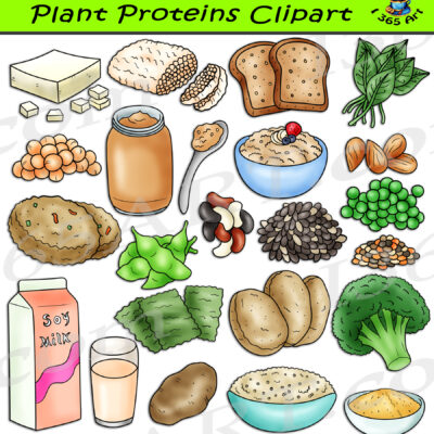 Plant Proteins Clipart